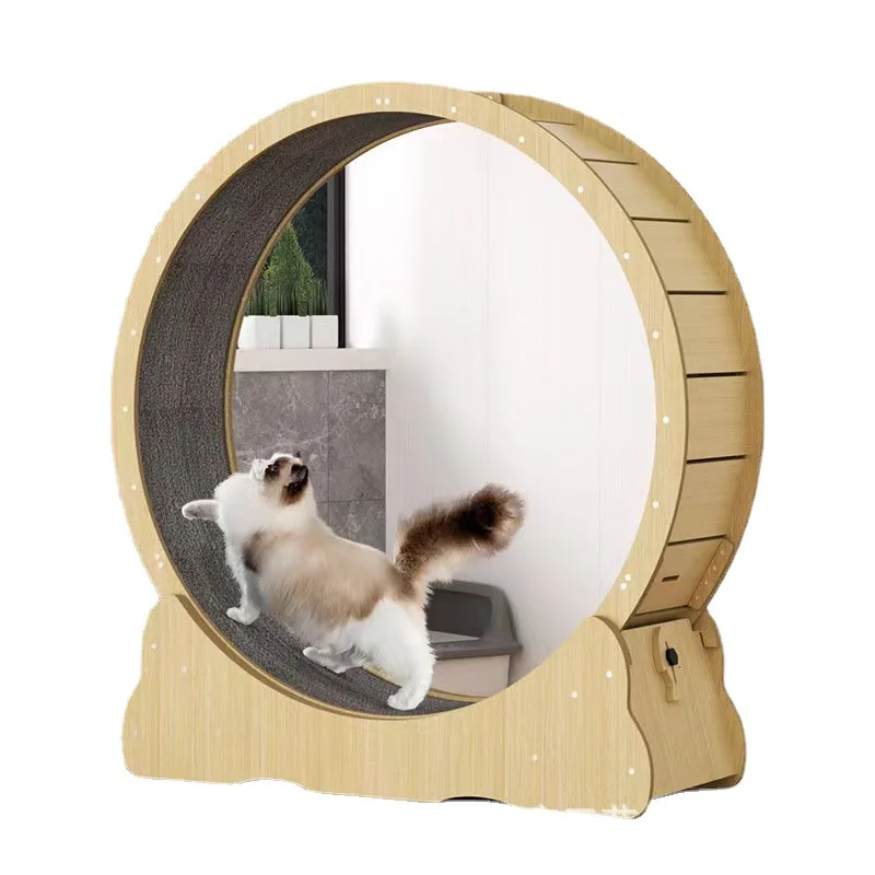 Interactive Cat Toy - Roda kebugaran kucing mainan dalam ruangan