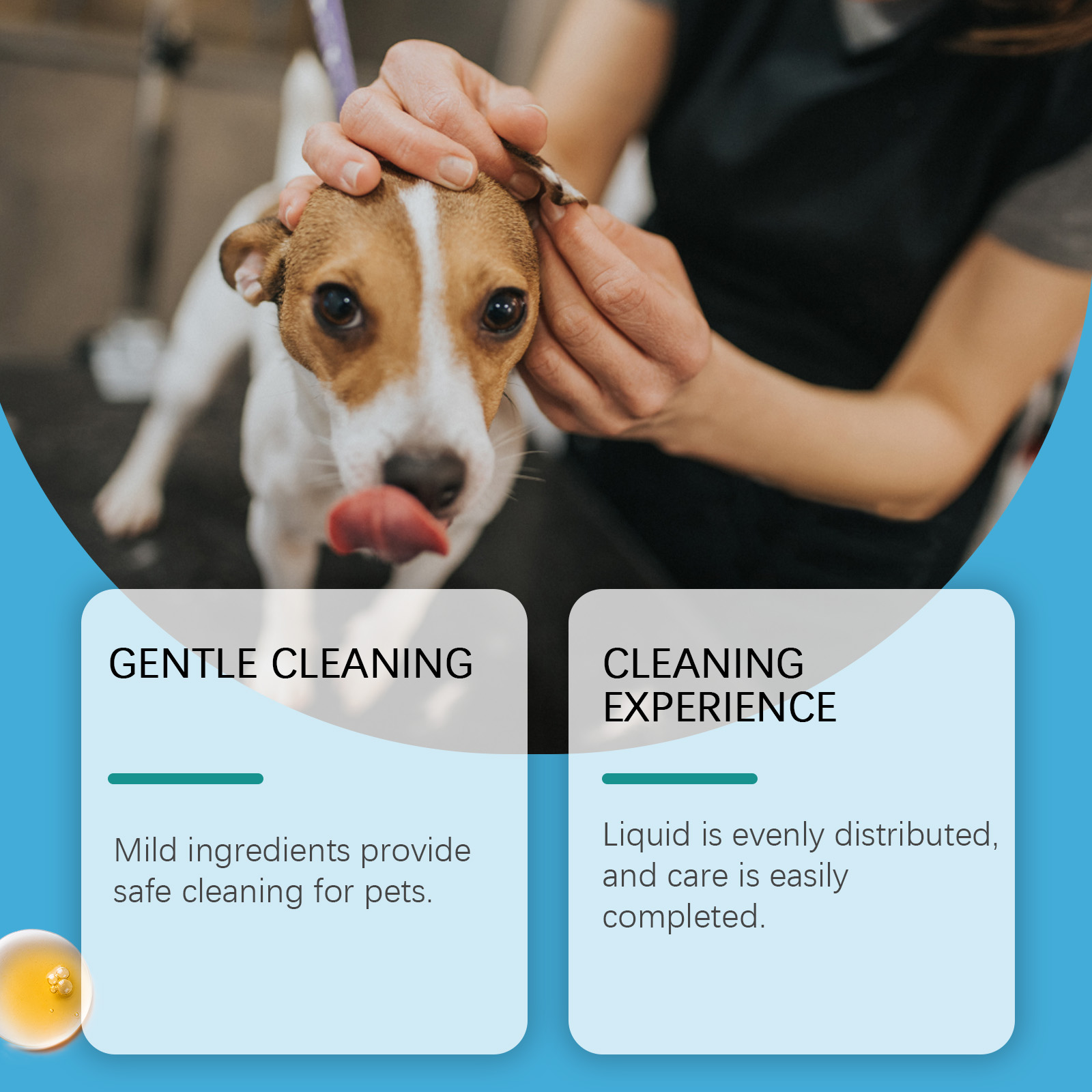 Pembersih Telinga Hewan Peliha - Pet Ear Cleaner ulasan dan harga