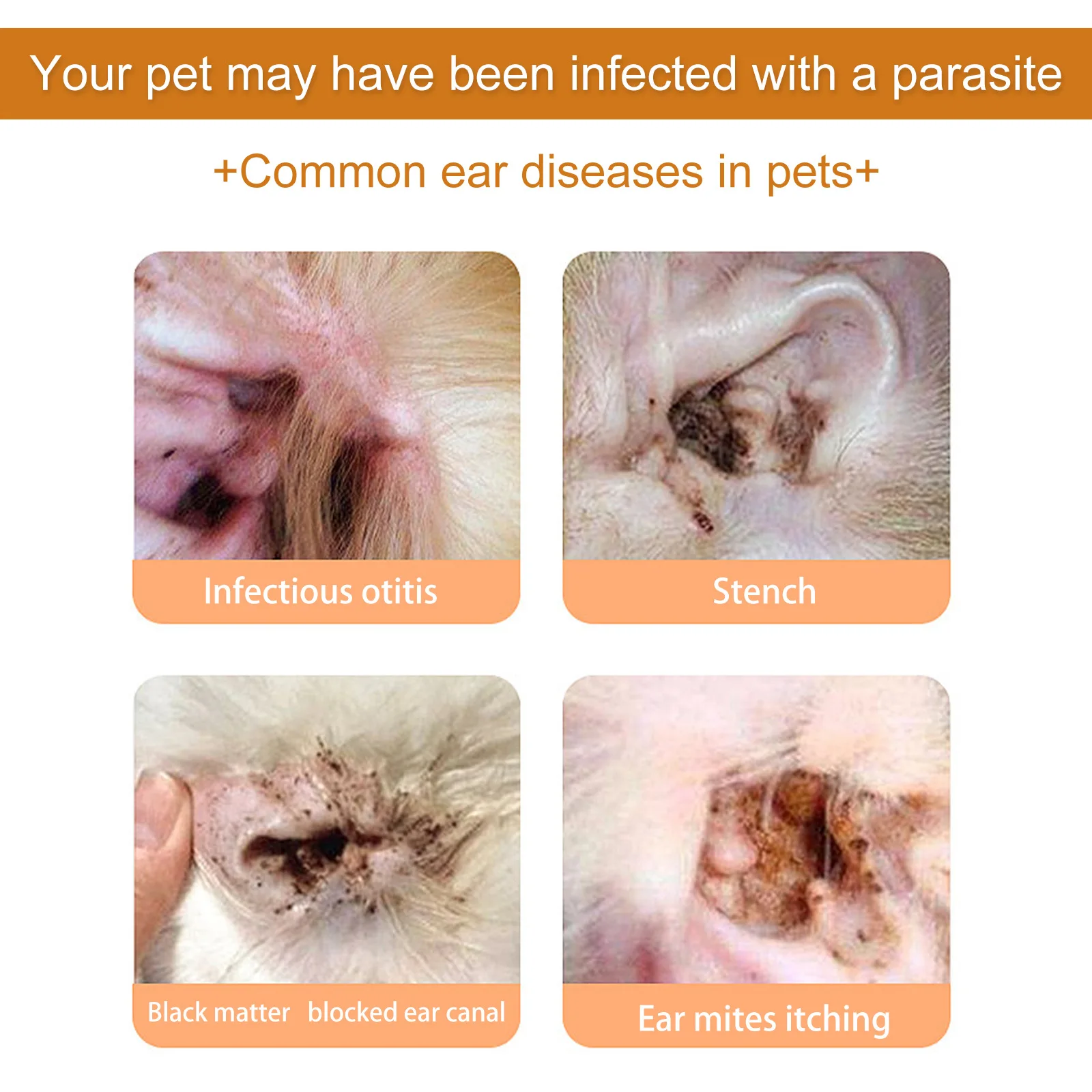 Tetes Pembersih Telinga Hewan  - Pet Ear Cleaner ulasan dan harga