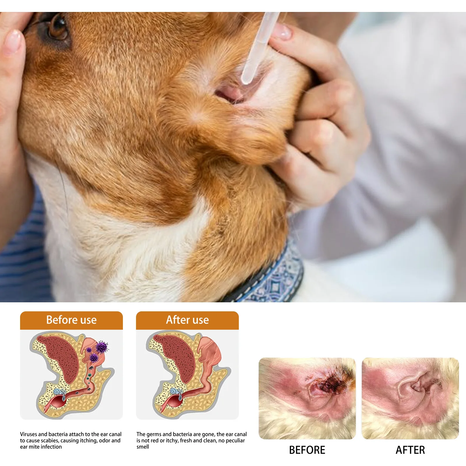 Tetes Pembersih Telinga Hewan  - Pet Ear Cleaner ulasan dan harga