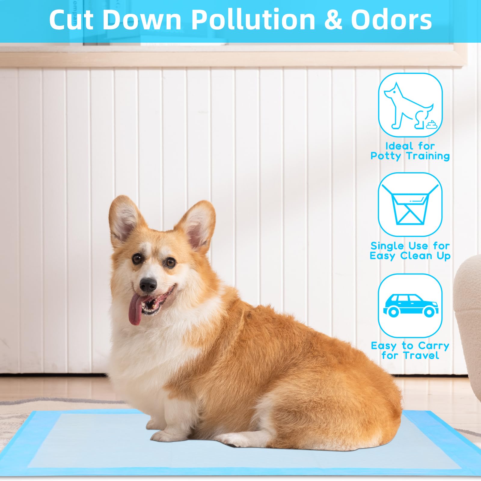 Bantalan Kencing Anti Bocor un - Pet Supplies Wholesale ulasan dan harga