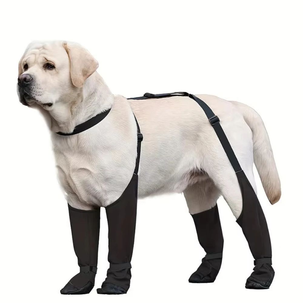Sepatu Anjing Anti Jatuh Tahan - Dog Booties Paw Protector ulasan dan harga