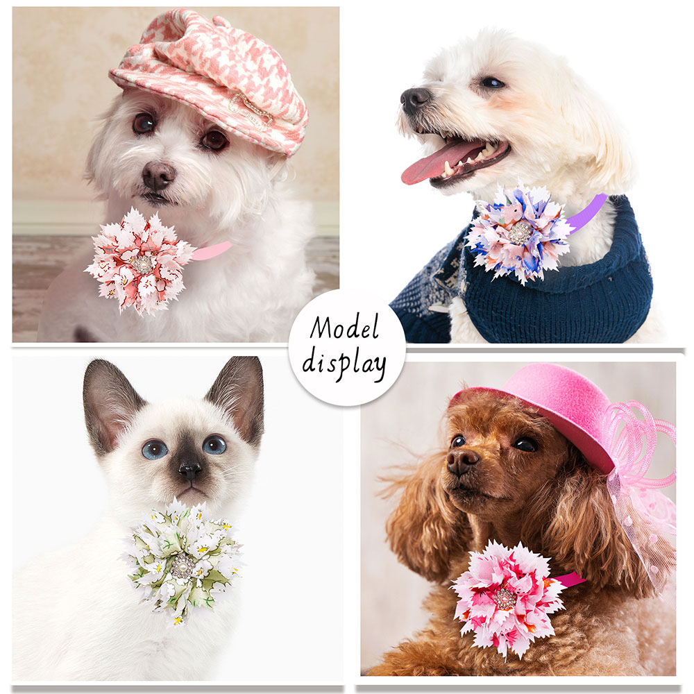10/20 buah kerah dasi kupu-kup - Pet Supplies Co ulasan dan harga
