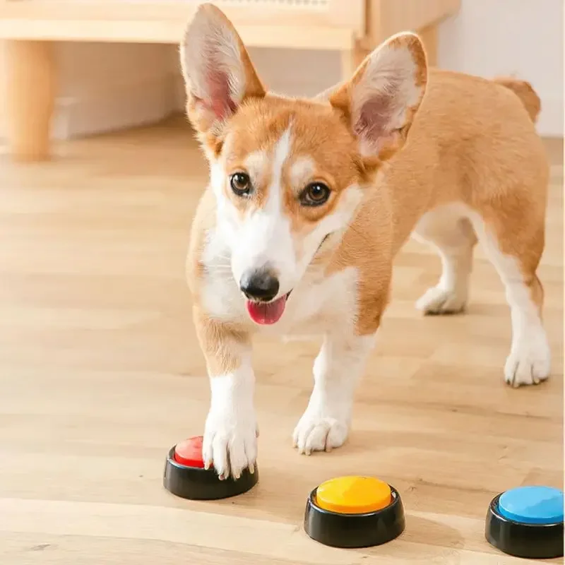 Kotak suara hewan peliharaan,  - Interactive Cat Toy ulasan dan harga