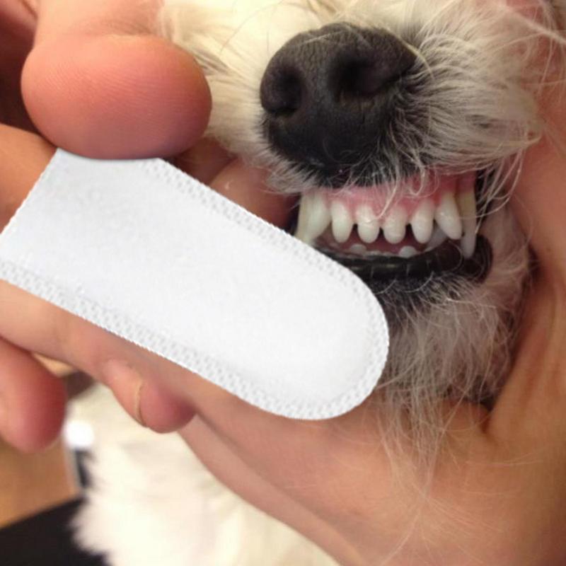 50 buah tisu basah hewan pelih - Pet Ear Cleaner ulasan dan harga
