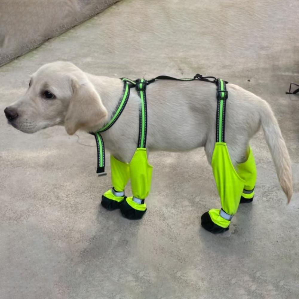 Sepatu Pelindung Kaki Anjing A - Dog Booties Paw Protector ulasan dan harga