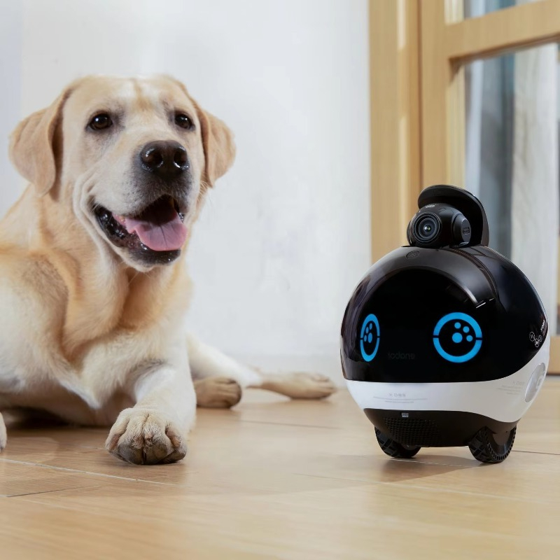 Robot Keluarga Pintar HD Peman - Interactive Cat Toy ulasan dan harga