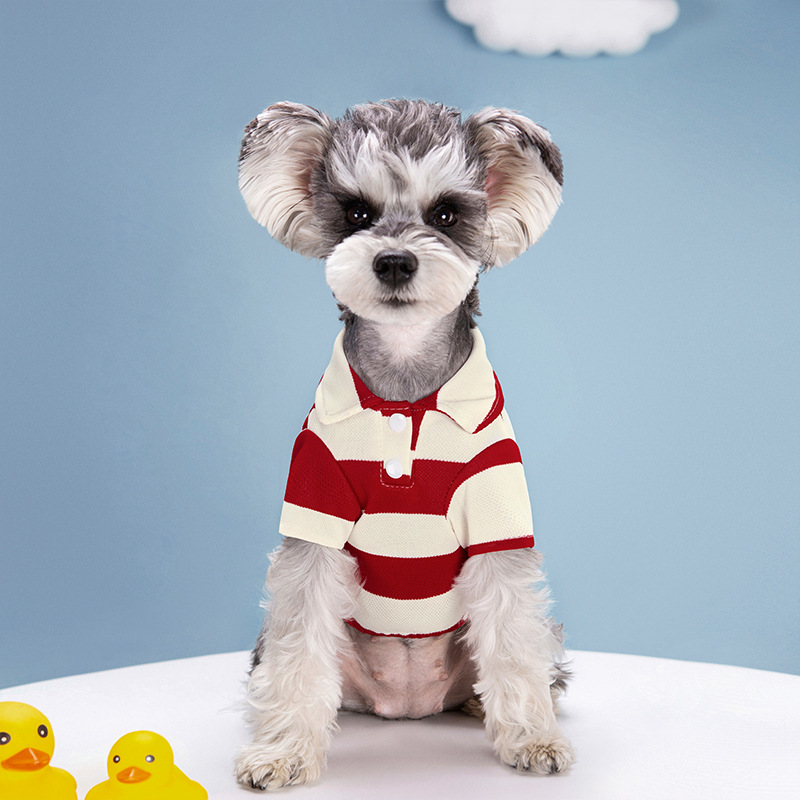 Kaos Polo Anjing Peliharaan Pa - Pet Supplies Co ulasan dan harga