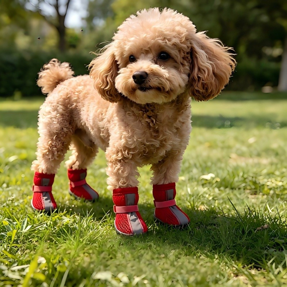 4PCS/SET Sepatu Anjing Anti-Se - Dog Booties Paw Protector ulasan dan harga