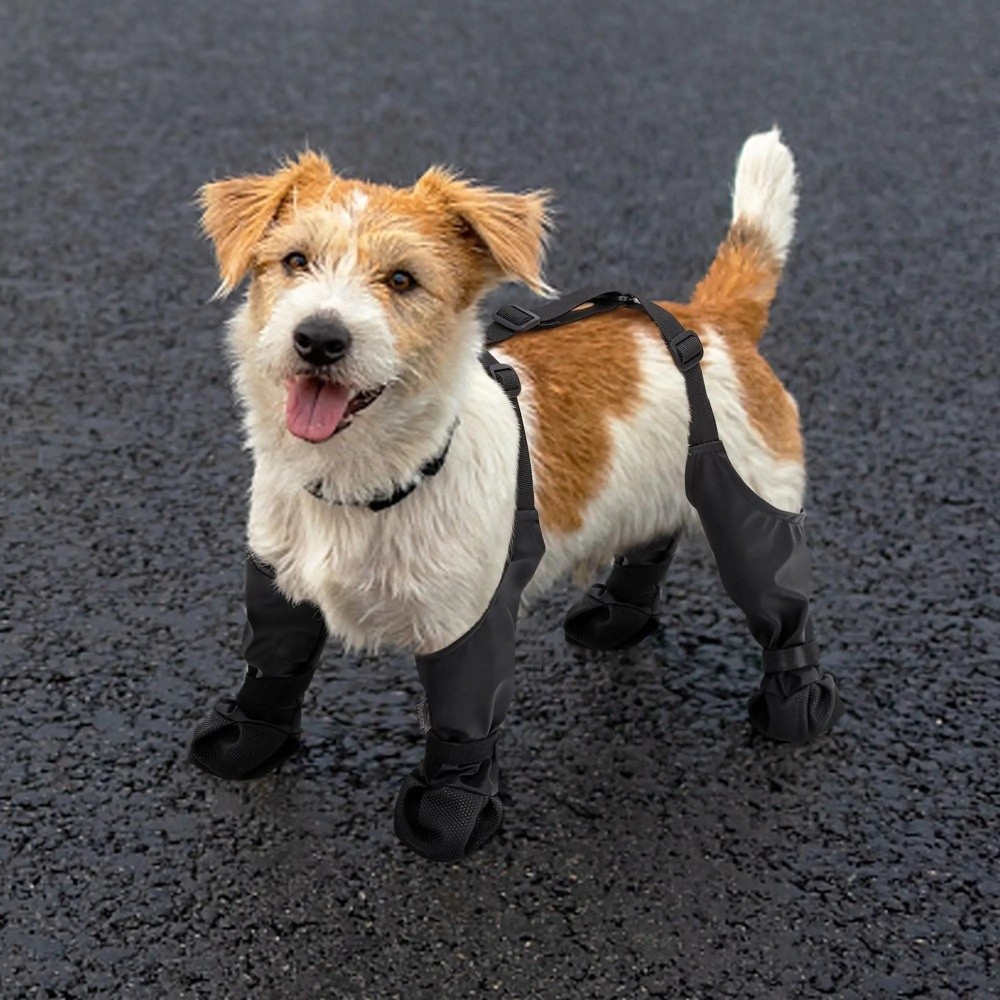 Sepatu Anjing Anti Jatuh Tahan - Dog Booties Paw Protector ulasan dan harga
