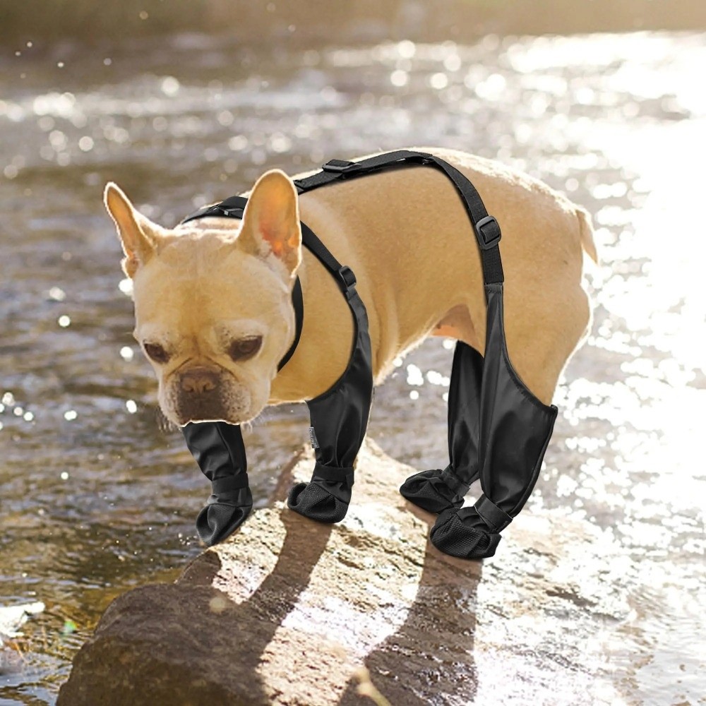 Sepatu Anjing Anti Jatuh Tahan - Dog Booties Paw Protector ulasan dan harga
